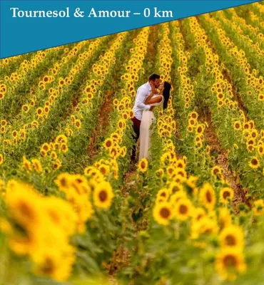 a couple kissing in a field of sunflowers at Les Bastidons de L'Isle - st ju- 3 étoiles in LʼIsle-sur-la-Sorgue
