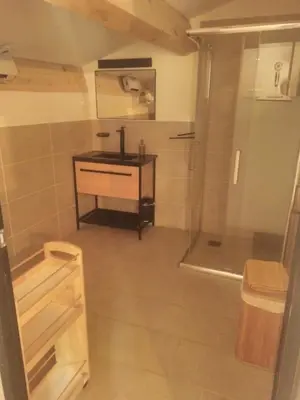 a small bathroom with a sink and a shower at Sous un chêne bicentenaire in Lambesc