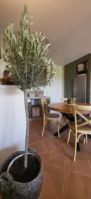 a bedroom with a bed and a lamp on a nightstand at Côté Golf, bel appartement RDC avec terrasses dans Golf, piscine, tennis, à 5mn de l'Isle sur la Sorgue in Saumane-de-Vaucluse