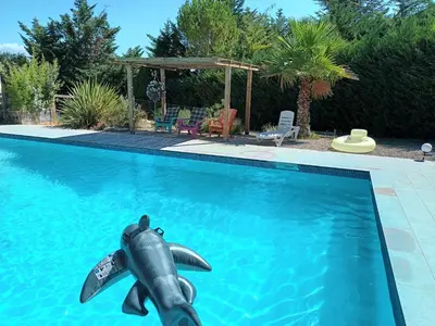 a dolphin in the water in a swimming pool at Chambres tomate, dans maison avec petit escalier à 6km du festival de piano de la roque d'anthéron in Rognes