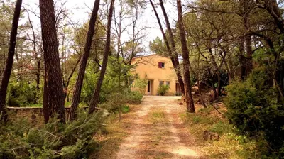 a dirt road leading to a house in the woods at Villa Chênaie in Bédoin