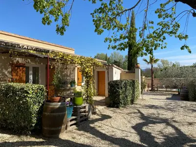 a house with plants in front of it at Les Célestins - Studios indépendants in Carpentras