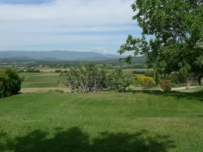 a field of green grass with a tree in the foreground at Le Lavoir in Lacoste