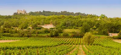 a field of green crops with a castle in the background at Le Lavoir in Lacoste
