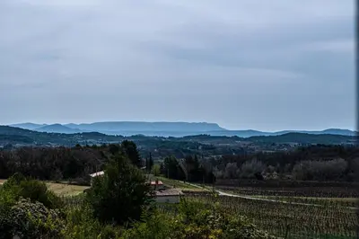 a view of a vineyard and a house in a field at Maison en campagne avec vues panoramiques - close to a lake in La Tour-dʼAigues
