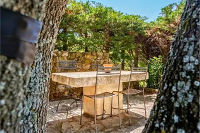 a stone table and chairs in a yard with trees at Joli mas 
