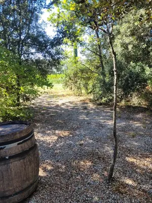 a small tree next to a wooden barrel at La Roulotte des Oliviers in Saint-Pierre-de-Vassols
