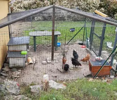 a chicken coup with chickens in a cage at Maison jaune in Villemus