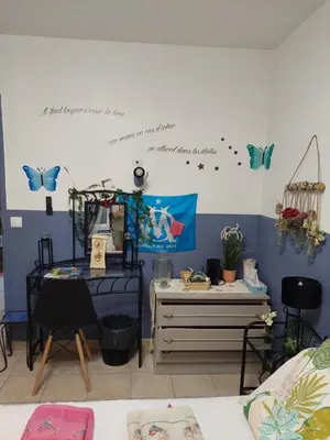 a bedroom with a desk and butterflies on the wall at Maison jaune in Villemus