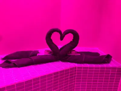 two black swans sitting on a bed in a pink room at Appartement Love room avec jacuzzi et hammam privatisé Lieu insolite en amoureux Spa détente assurée avec de doux massages en options sur demande in Orgon