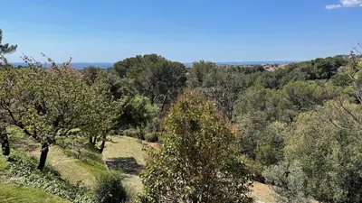 a view of a forest of trees on a hill at Exclusif Appart piscine chauffée de luxe 10 min centre AixenPc Belvoir SISSI in Aix-en-Provence