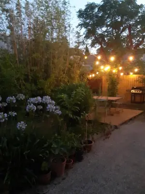a garden with plants and a table with lights at Villa 