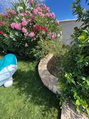 a garden with pink flowers and a stone path at Villa Provençale avec Piscine Chauffée in Saint-Andiol