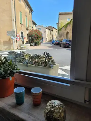 a window with potted plants sitting on a window sill at Provence Now in Cabrières-dʼAvignon