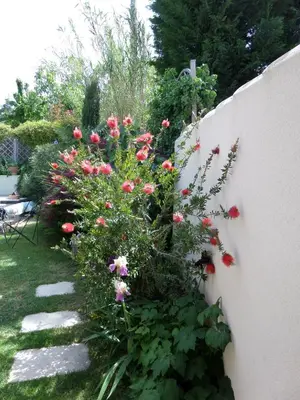 a garden with pink roses and a fence at Le Clos Martin in Eyragues