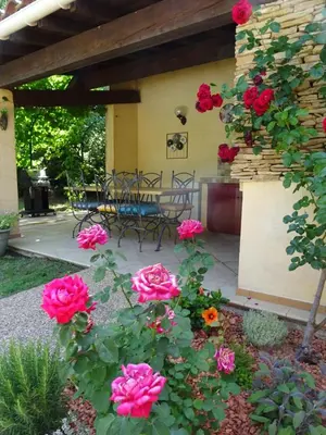 a patio with flowers and a table and chairs at The Blue Tit - private swimming pool in LʼIsle-sur-la-Sorgue
