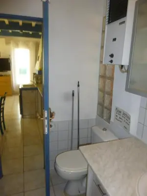 a bathroom with a toilet and a counter top at PROVENCE SOLEIL LUBERON PISCINE in Apt