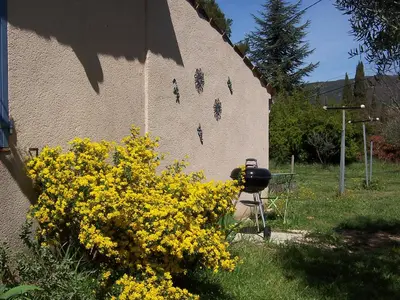 a bunch of yellow flowers next to a building at OUSTAOU DU GAYET gîte de charme avec piscine privée in Lourmarin