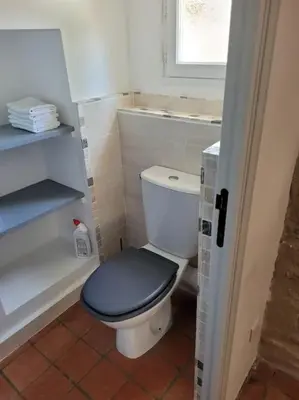 a bathroom with a toilet with a blue lid at La Maison de la Forge in Gordes