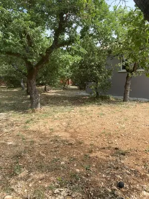 a yard with two trees and a house at Gite Couleur Terre à 10MN de Gordes in Croagnes