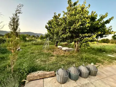 a group of vases sitting on top of a field at Cabanon bucolique face au Luberon in Lourmarin
