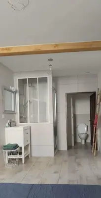 a bathroom with a sink and a toilet in a room at Maison LINA in Sault-de-Vaucluse