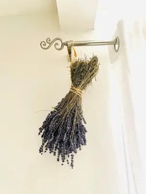 a bunch of lavender hanging on a wall at Maison LINA in Sault-de-Vaucluse