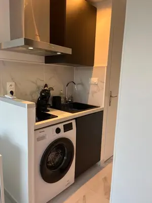 a kitchen with a washing machine and a sink at Superbe appartement avec balcon et parking in Aix-en-Provence