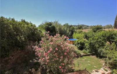 a garden with pink flowers and bushes at 2 Bedroom Beautiful Home In St Didier in Saint-Didier