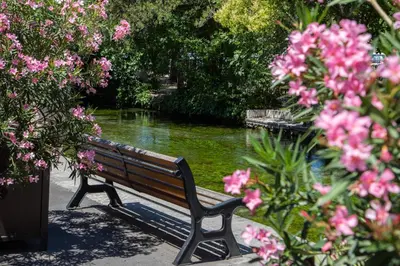 a park bench next to a river with pink flowers at Au NÈGO CHIN 105m2 en bord de Sorgue in LʼIsle-sur-la-Sorgue