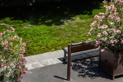 a park bench sitting next to some pink flowers at Au NÈGO CHIN 105m2 en bord de Sorgue in LʼIsle-sur-la-Sorgue