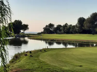 a pond on a golf course with ducks in the water at La Tour D'Orgueil in Mallemort