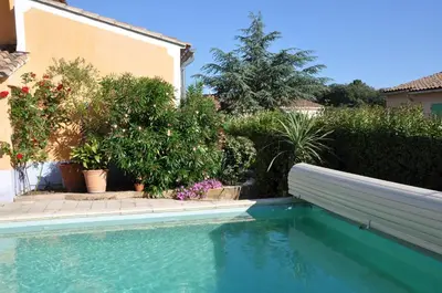 a swimming pool in front of a house with plants at Les Moineaux in Rustrel