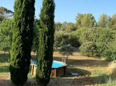 a pool in a field between two large trees at Maison dans la pinède in Rognes