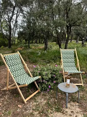 two lawn chairs and a table with a bottle of wine at Maison dans la pinède in Rognes
