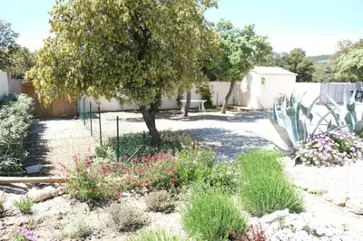 a garden with a tree and some flowers at charming vacation rental with heated pool at the foot of the alpilles, in aureille, close to the center of the village on foot, sleeps 6/8 people in provence. in Aureille