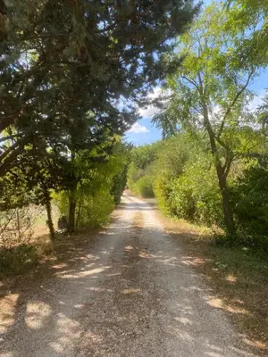 a dirt road with trees on either side at Chalet de Provence in Aix-en-Provence