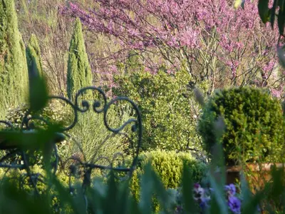 a bench in a garden with flowers and trees at Lou Amourie in Roussillon