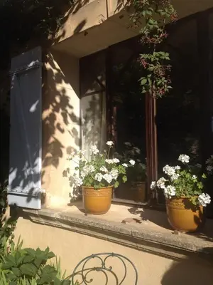 three potted plants sitting on a window sill at Lou Amourie in Roussillon