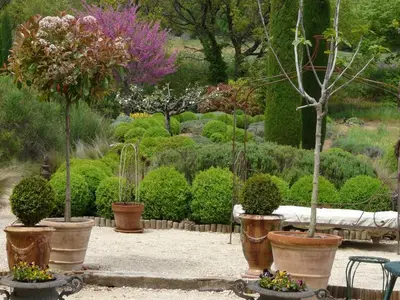 a garden with potted plants and trees and bushes at Lou Amourie in Roussillon