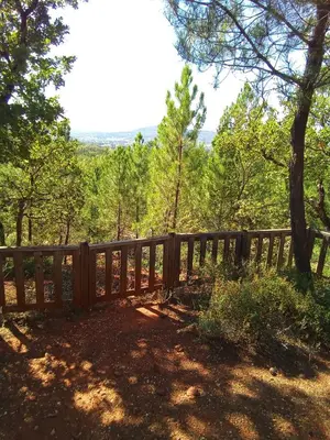 a wooden fence in the middle of a forest at Mes deux Gîtes de l'Ocre in Villars