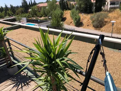 a camera on a tripod next to a plant at Ma place au sud terrasse à 2 pas d’Aix in Éguilles