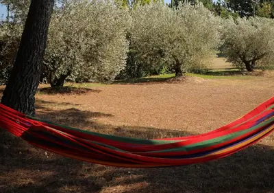 a red hammock hanging from a tree in a park at La Villa La Source à Aix en Provence in Aix-en-Provence