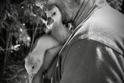 a man holding two white rats on his shoulder at Gîte de Fanny du Moulin de Tartay en Avignon in Avignon