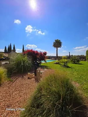 a garden with a palm tree and a lake at L'endroit incontournable in Les Baïsses