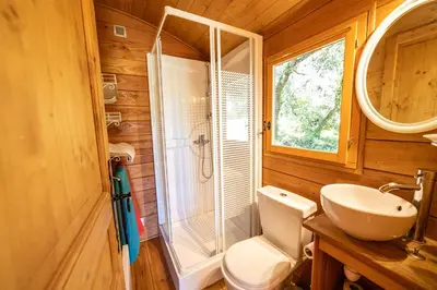 a bathroom with a shower and a toilet and a sink at Domaine Les Perpetus in La Tour-dʼAigues