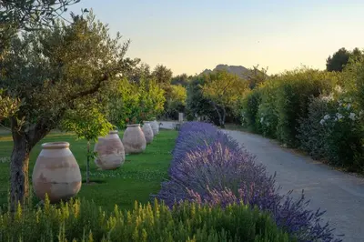 a row of large vases in a garden with flowers at Mas Notre Dame in Eygalières