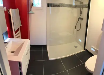 a bathroom with a shower and a sink at Le Cabanon de Vally in Caromb