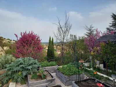 a garden with various plants in wooden boxes at Chambre indépendante in Apt
