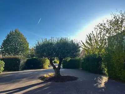 a tree sitting in the middle of a road at maison village vacances demeures du Ventoux in Aubignan